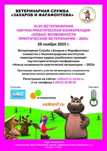 Новости ветклиники Новости ветклиники