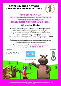 Новости ветклиники Новости ветклиники