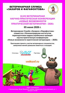Новости ветклиники Новости ветклиники